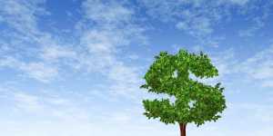  nonprofit websites